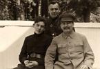 Nikolaj Vlasik - biografija, informacije, osebno življenje